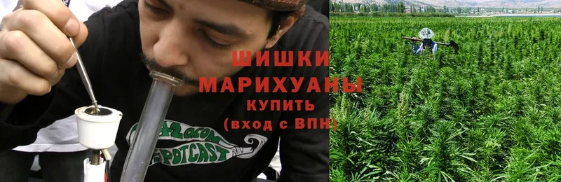 Конопля White Widow  кракен сайт  Змеиногорск  цена наркотик 